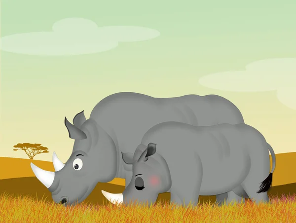 Ilustrace Rhino — Stock fotografie