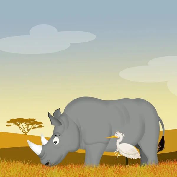 Illustration Rhinocéros Airon Blanc — Photo