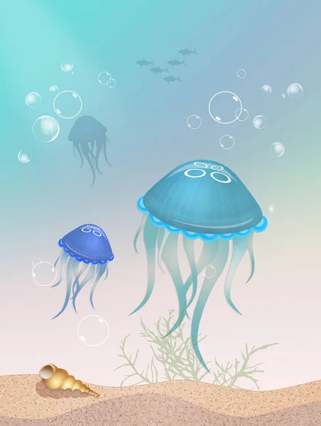 Jellyfishes Στον Ωκεανό — Φωτογραφία Αρχείου