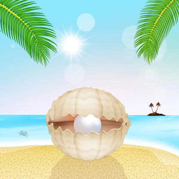 Illustration Pearl Shell Stranden — Stockfoto