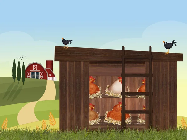 Illustration Hens Hen House — Stock Photo, Image