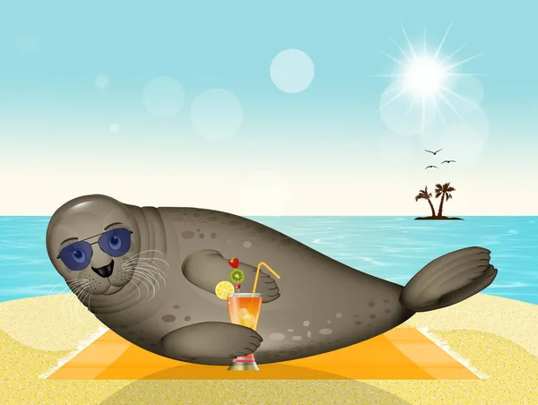 Seal Cocktail Beach — Stock Photo, Image