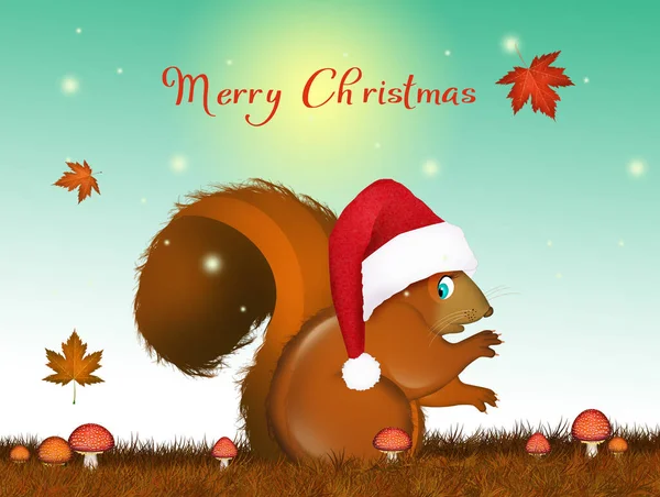 Eichhörnchen Für Weihnachtspostkarte — Stockfoto