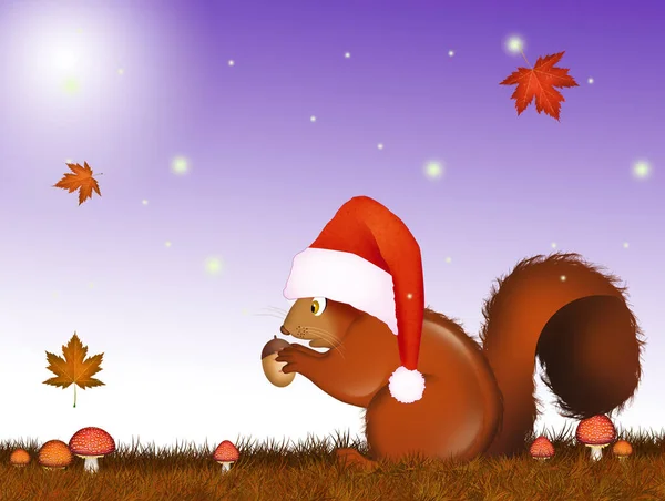 松鼠在圣诞节的插图 — 图库照片