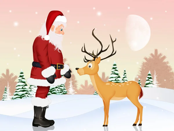 Santa Clasu Reindeer — Stock Photo, Image