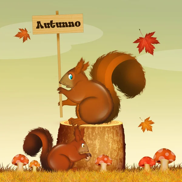 Ilustracja Wiewiórka Jesienią — Zdjęcie stockowe