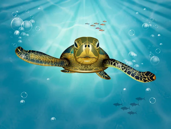 Schildpad Blauwe Oceaan — Stockfoto