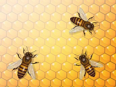 illustration of bees in the hive clipart