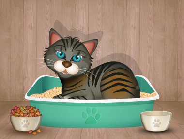 Kedi içinde belgili tanımlık çöp kutu
