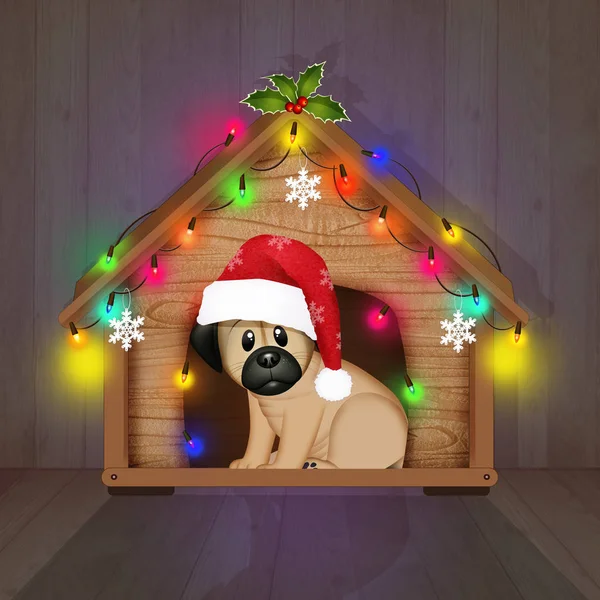 Perrera Perro Adornado Para Navidad —  Fotos de Stock