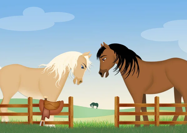 Illustration Horses Couple Farm — 스톡 사진