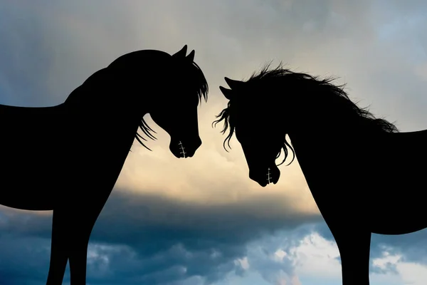 日没時の馬のペア — ストック写真