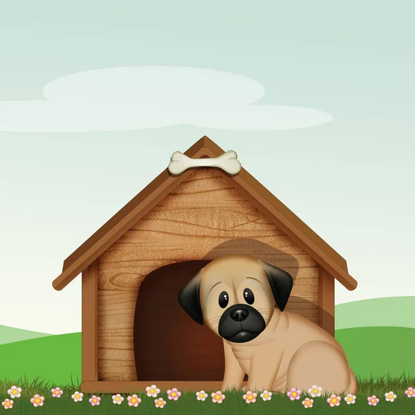 犬小屋の犬のイラスト — ストック写真