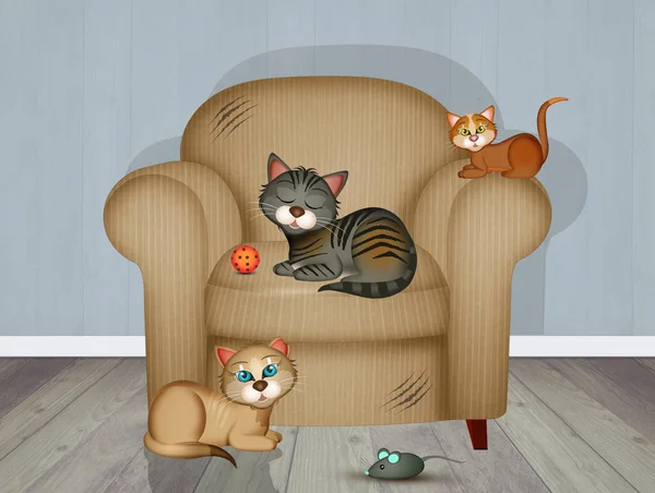 Cat Scratch Resistant Armchair — 스톡 사진
