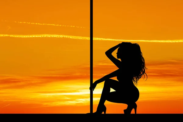Illustration Lap Dance Sunset — Stock Photo, Image