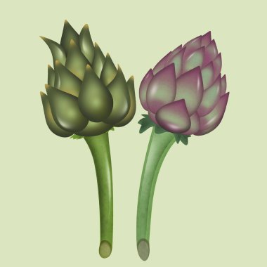 İki enginar simgesinin çizimi