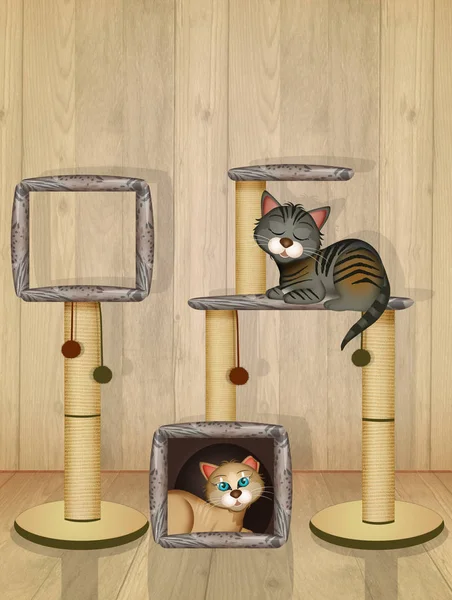 cats on scratching post