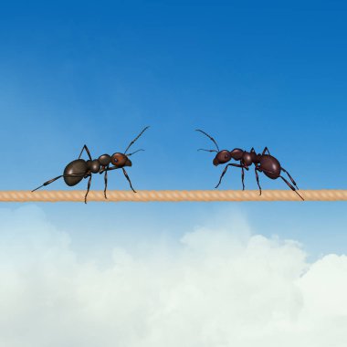 Telin üzerinde iki karınca resmi