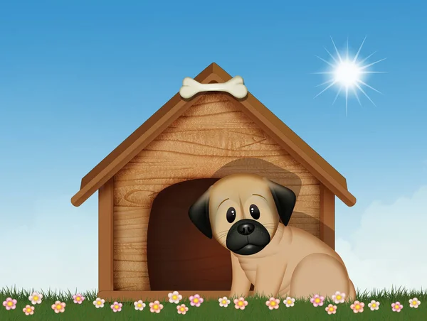Ilustração Engraçada Cachorro Canil — Fotografia de Stock