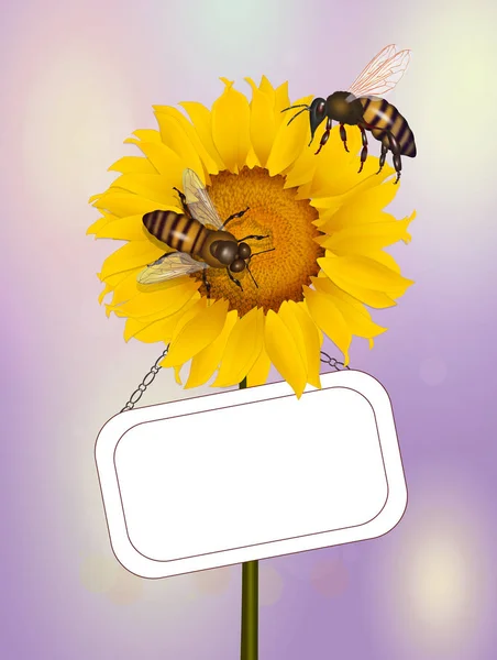Illustration Der Bestäubung Von Bienen Auf Sonnenblumen — Stockfoto