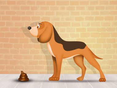 Köpeğin resmi kakadır.