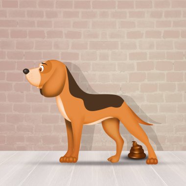 Köpeğin resmi kakadır.