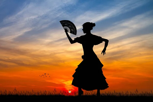 Illustratie Van Flamenco Bij Zonsondergang — Stockfoto