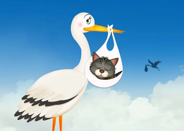 Illustration Stork Med Liten Katt — Stockfoto