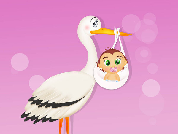 illustration of stork with baby female