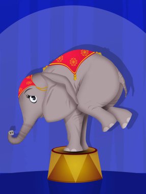 Sirkte fil gösterisi gösteriliyor.