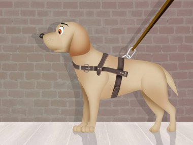 Kör köpeğin çizimi