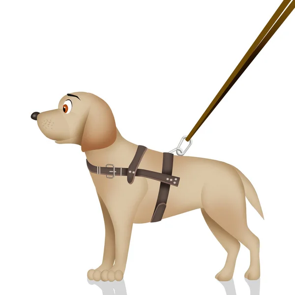 Illustration Blind Dog White Background — Stock Photo, Image