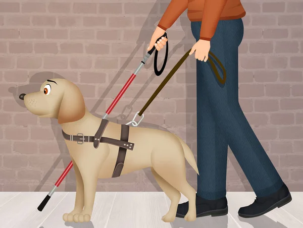 Illustration Blind Dog — Stock Photo, Image