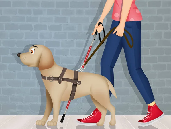 Ilustração Menina Com Cão Para Cegos — Fotografia de Stock
