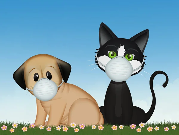 Hund Und Katze Mit Coronavirus Maske — Stockfoto