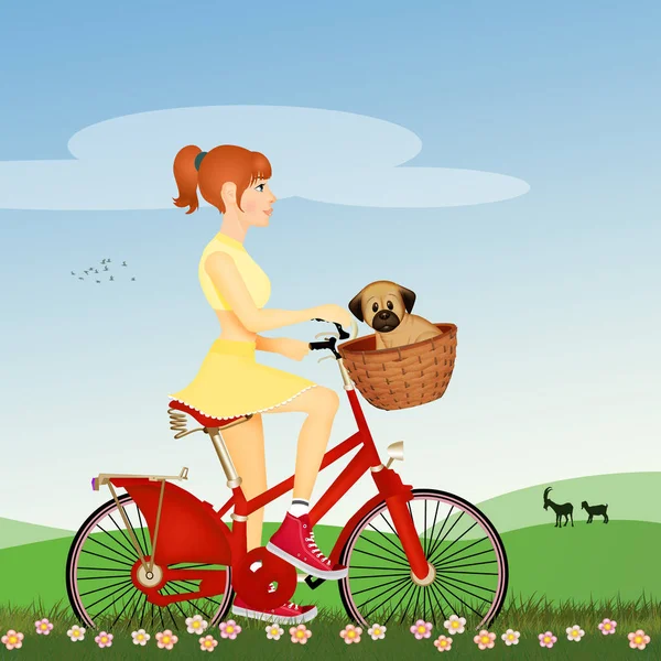 Fille Vélo Avec Chiot Chien Dans Panier — Photo