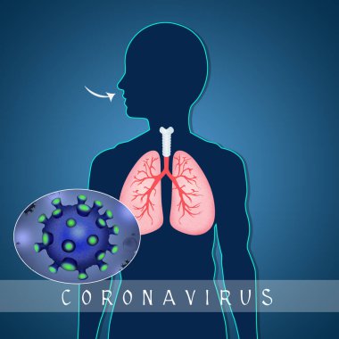 Coronavirüs enfeksiyonu kurallarının gösterimi