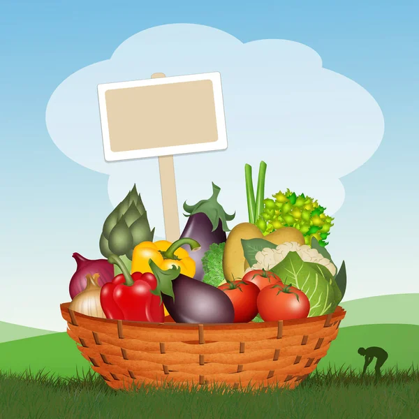 Illustration Vegetables Basket — Stock Photo, Image