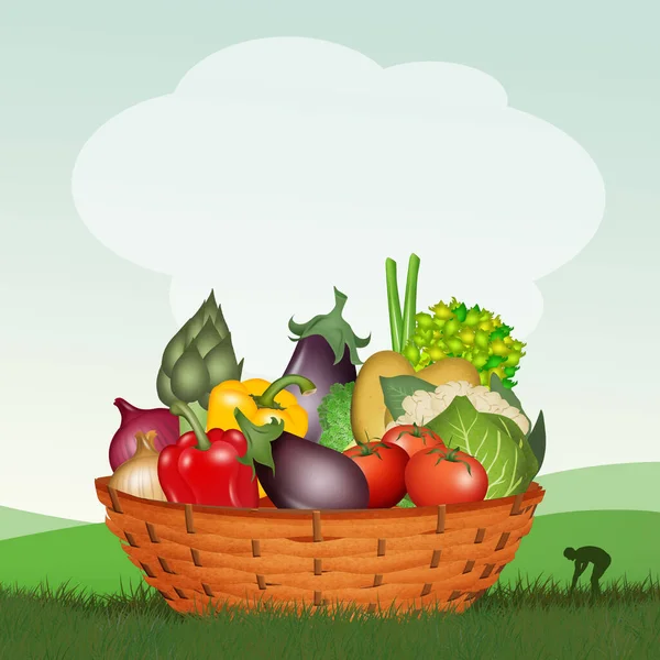Illustration Vegetables Basket — Stock Photo, Image