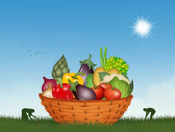 Illustration Vegetables Basket — Stock Photo, Image