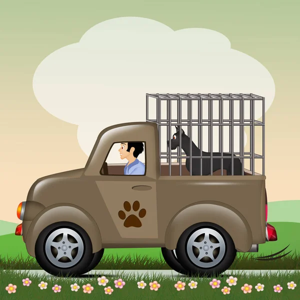 Illustratie Van Het Vervoer Van Honden — Stockfoto