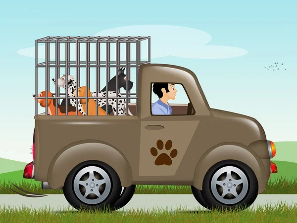 Ilustración Del Transporte Perros — Foto de Stock