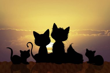 Kedi ailesi gün batımında siluet