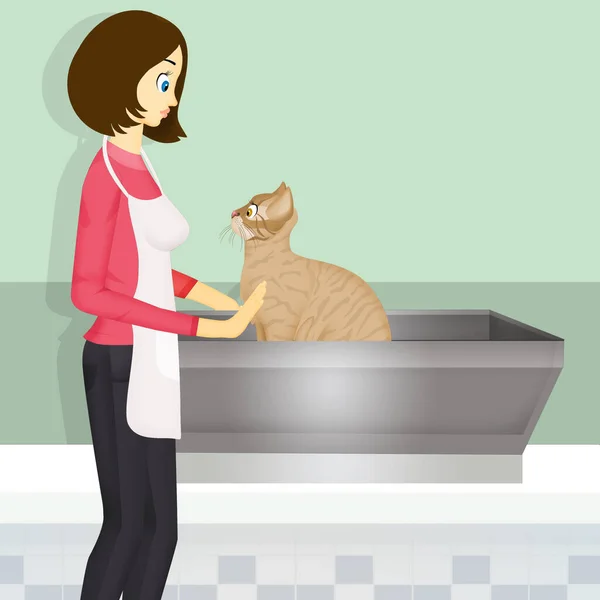 Illustration Flicka Gör Grooming Till Katt — Stockfoto