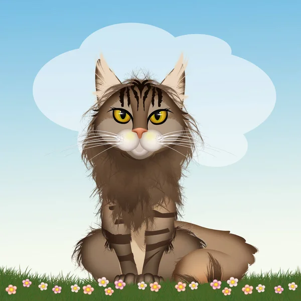 Ilustracja Maine Coon Kot — Zdjęcie stockowe