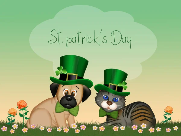Hund Und Katze Feiern Patrick Day — Stockfoto