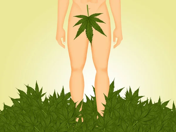 Adam Het Eden Met Marihuanablad — Stockfoto