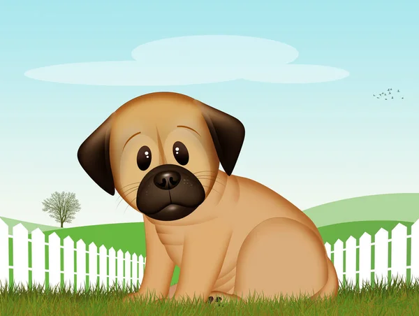 Illustration Dog Grass — Stock Photo, Image