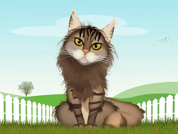 Illustration Der Maine Coon Katze — Stockfoto