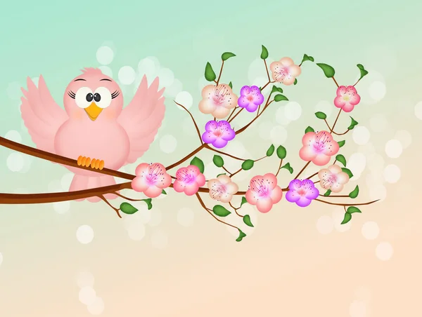 Bird Peach Blossom Branch — Stock Photo, Image